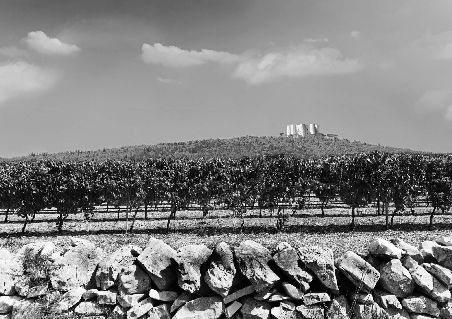 canosa-vitigno-puglia-vini